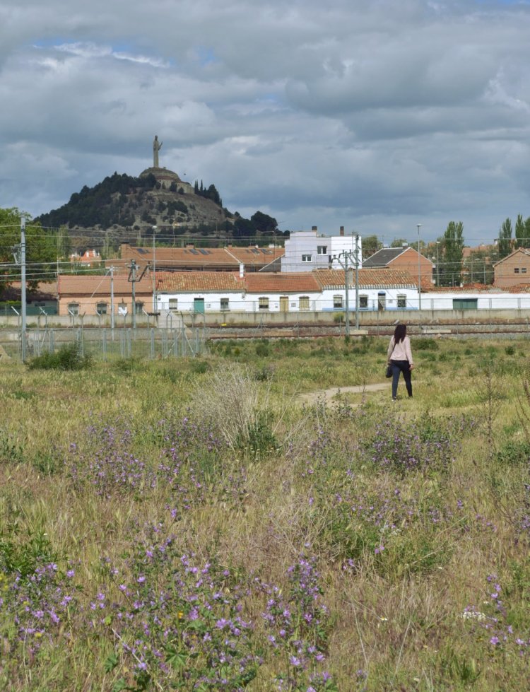 Пустырь в Паленсии
