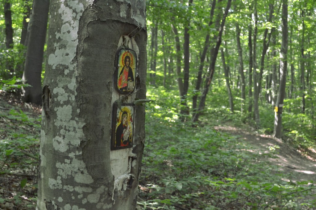 Дерево с иконами на Шуменском плато