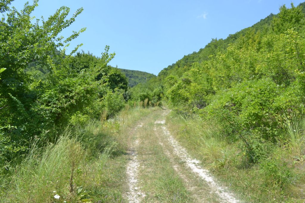 Спуск с Шуменского плато