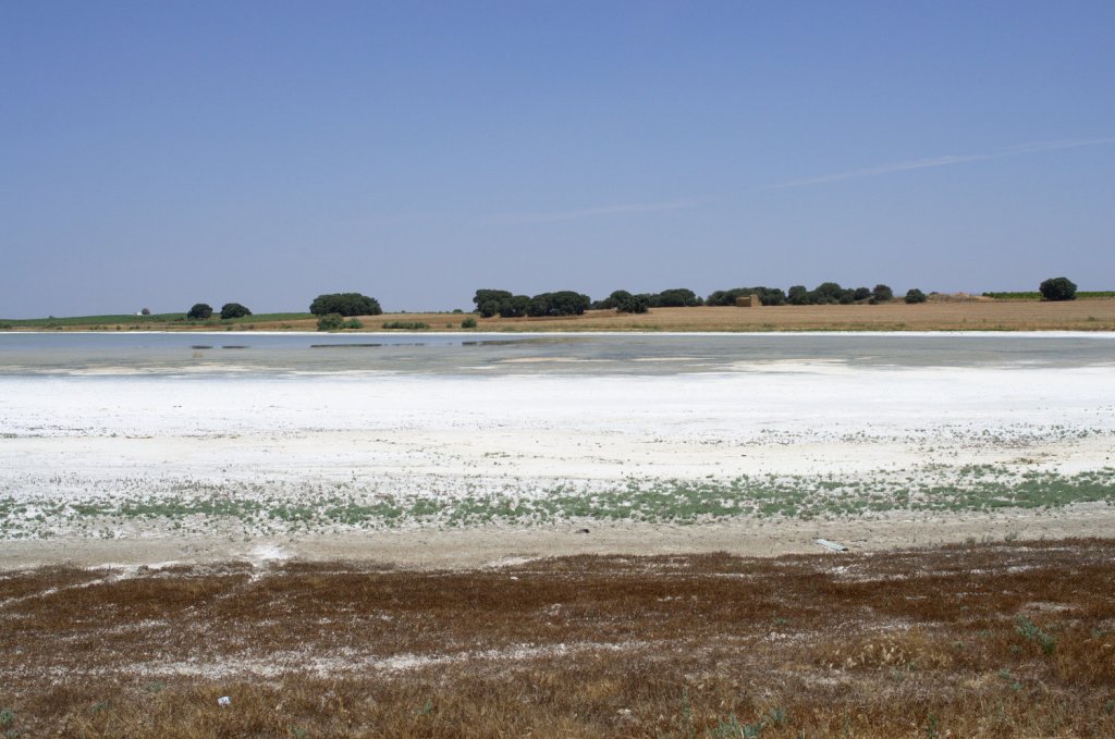 Laguna de Manjavacas