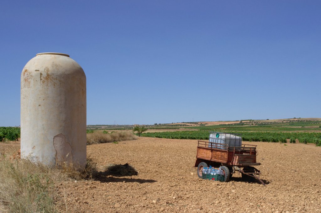 Al borde del camino rural