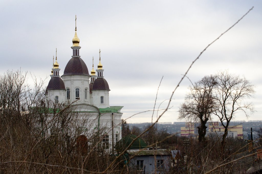 Catedral de Antonio y Teodosio en Vasylkiv