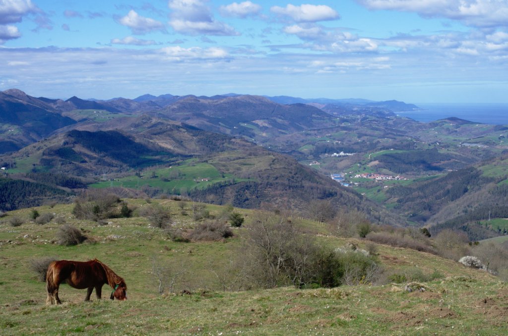 Вид на горы, море. Лошадка поттока пасётся на склоне.