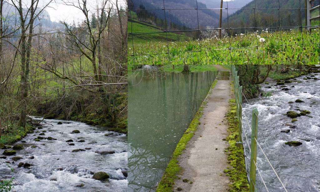 Río y estructuras hidrotécnicas.