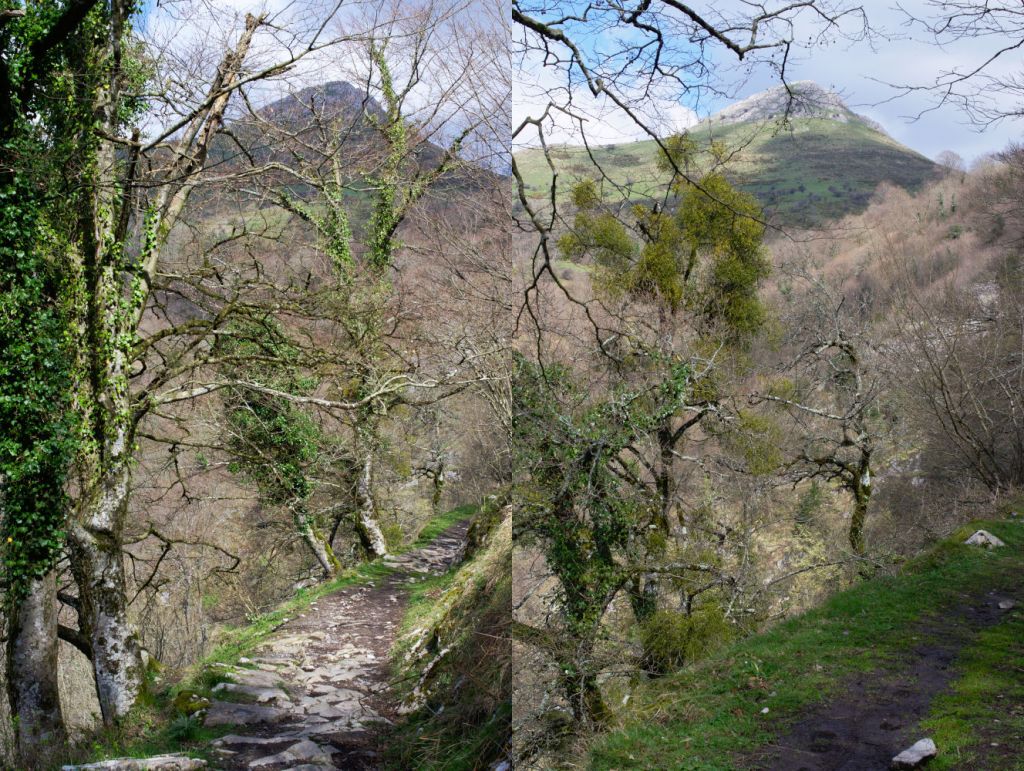Calzada antigua en la ladera de un monte.