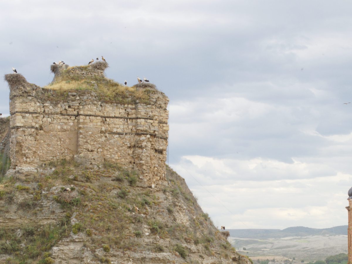 Calatayud: castillo de Ayub, ciudad de las&nbsp;cigüeñas