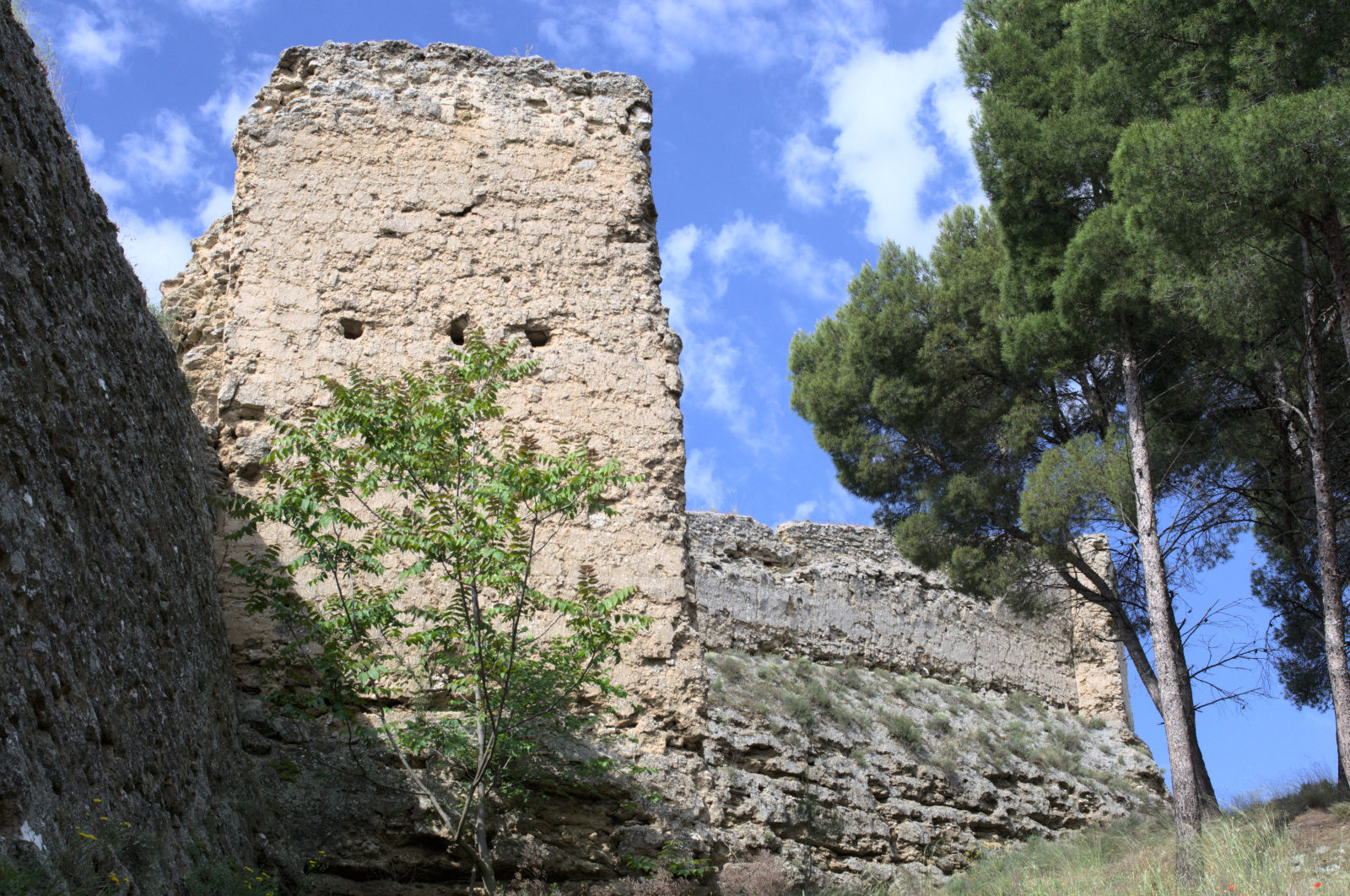 Крепостная стена и башня