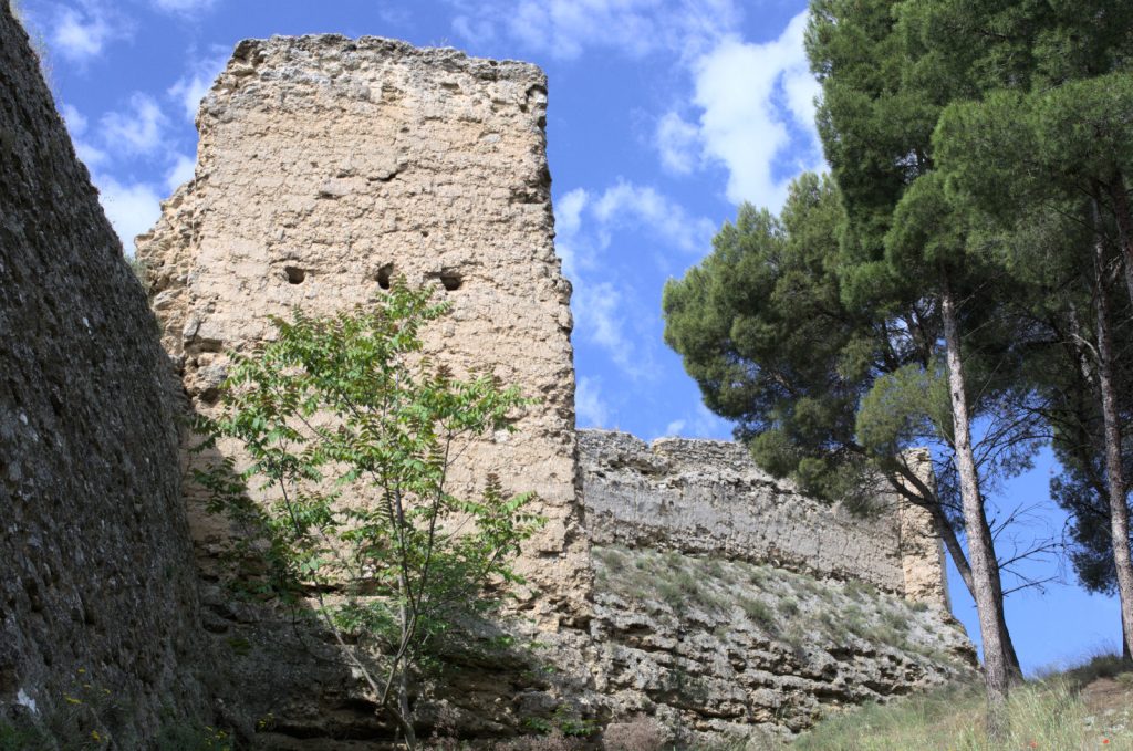 Torre y muro defensivo