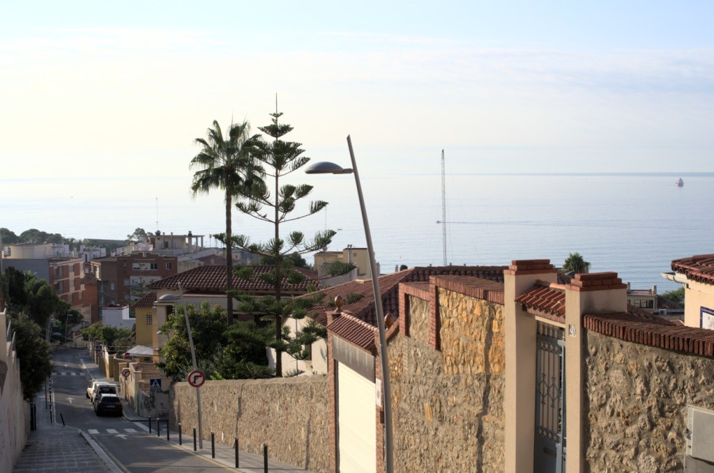 Улица спускается к морю; видны экзотические деревья; цвет воды сливается с небом.