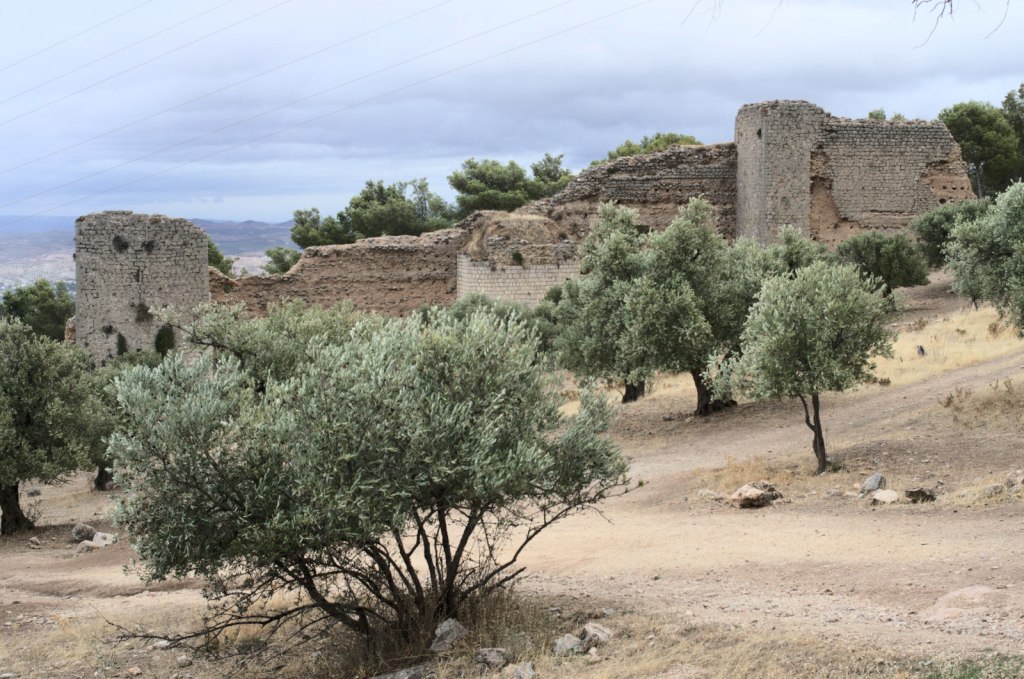 Остатки средневековых стен на склоне горы. Перед ними — оливковые деревья на ветру.