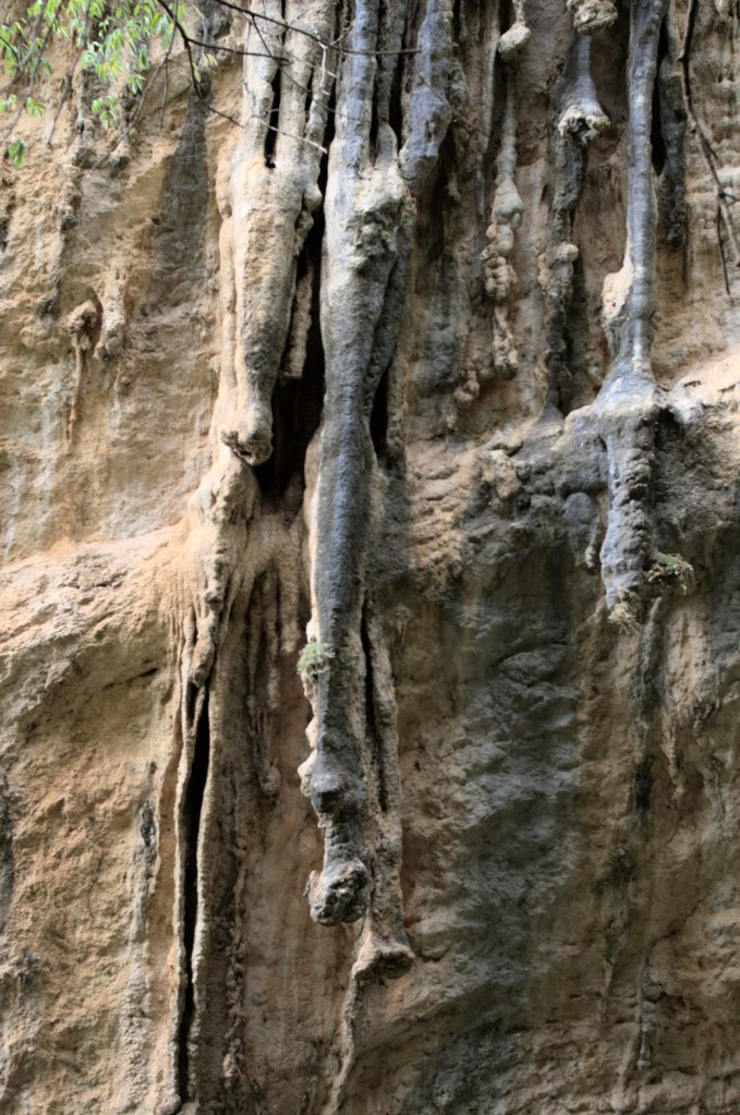 Сталактиты на скальной стене