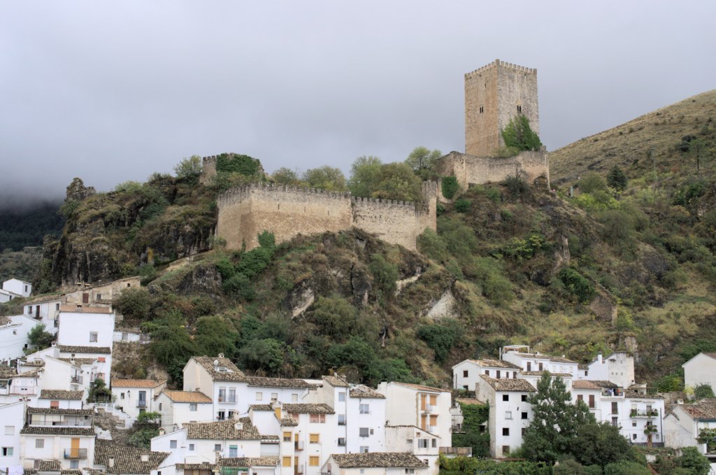 Вид на возвышенность, занятую крепостью