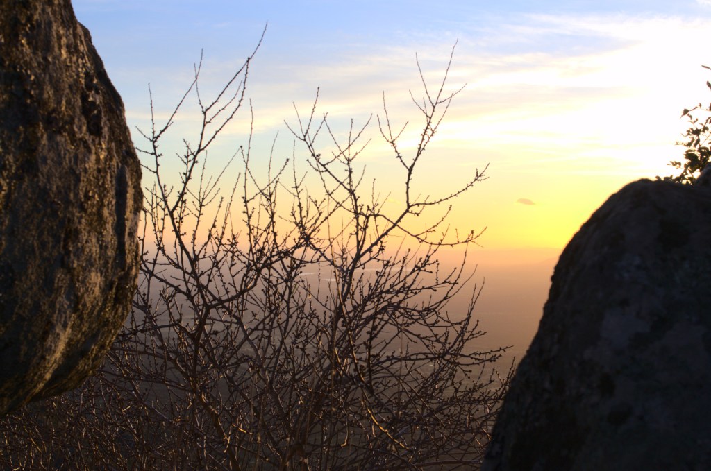 Красный горизонт, скалы и голое дерево