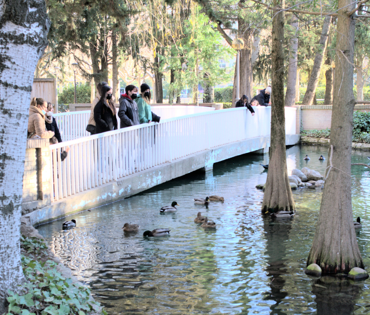 Люди в масках созерцают водоплавающих птиц