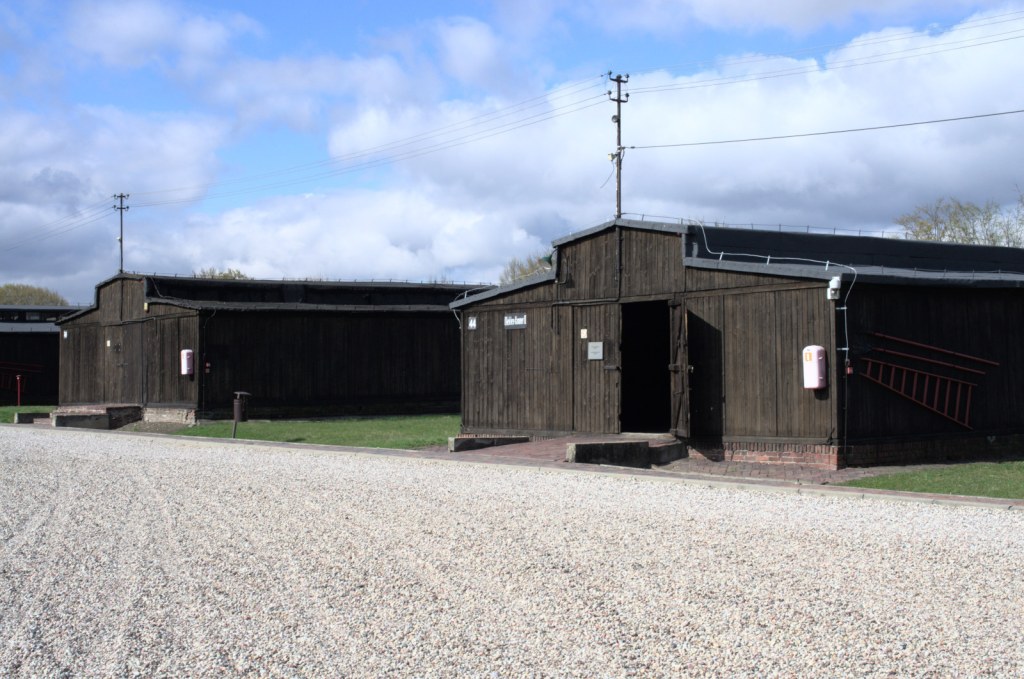 Бараки тёмно-коричневого цвета