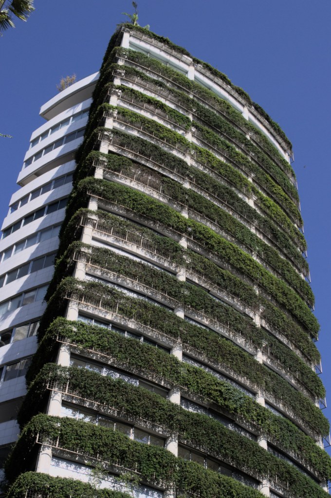 Современное высотное здание с фасадом, увитым растительностью