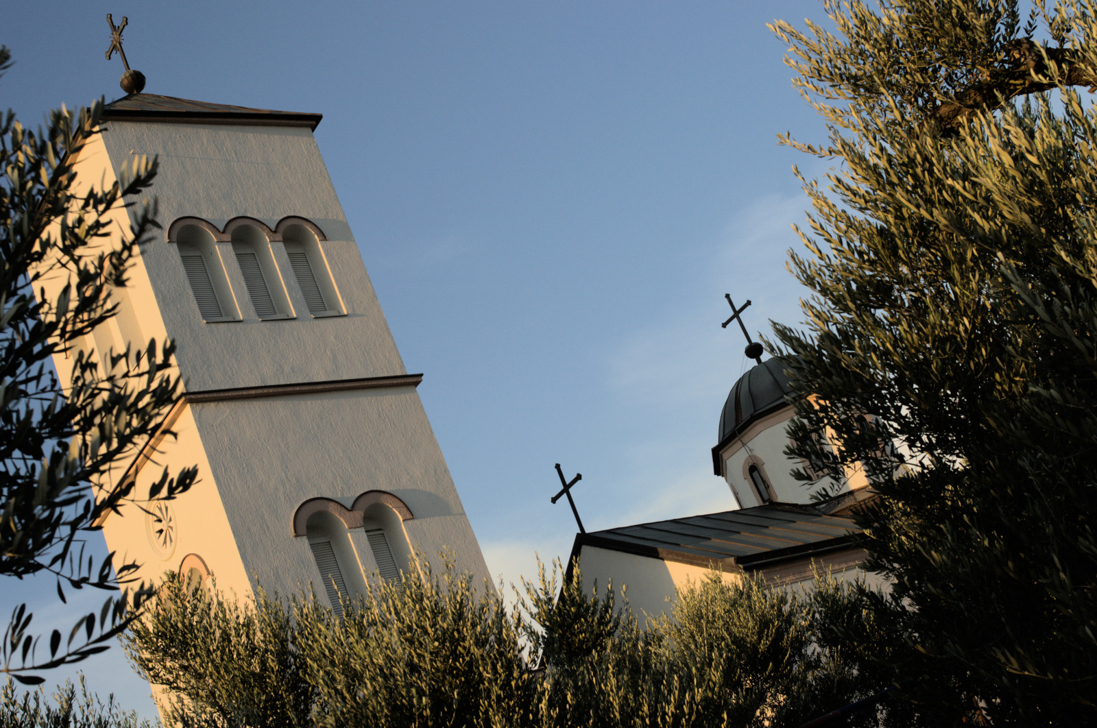 Церковь видна сквозь ветви оливковых деревьев