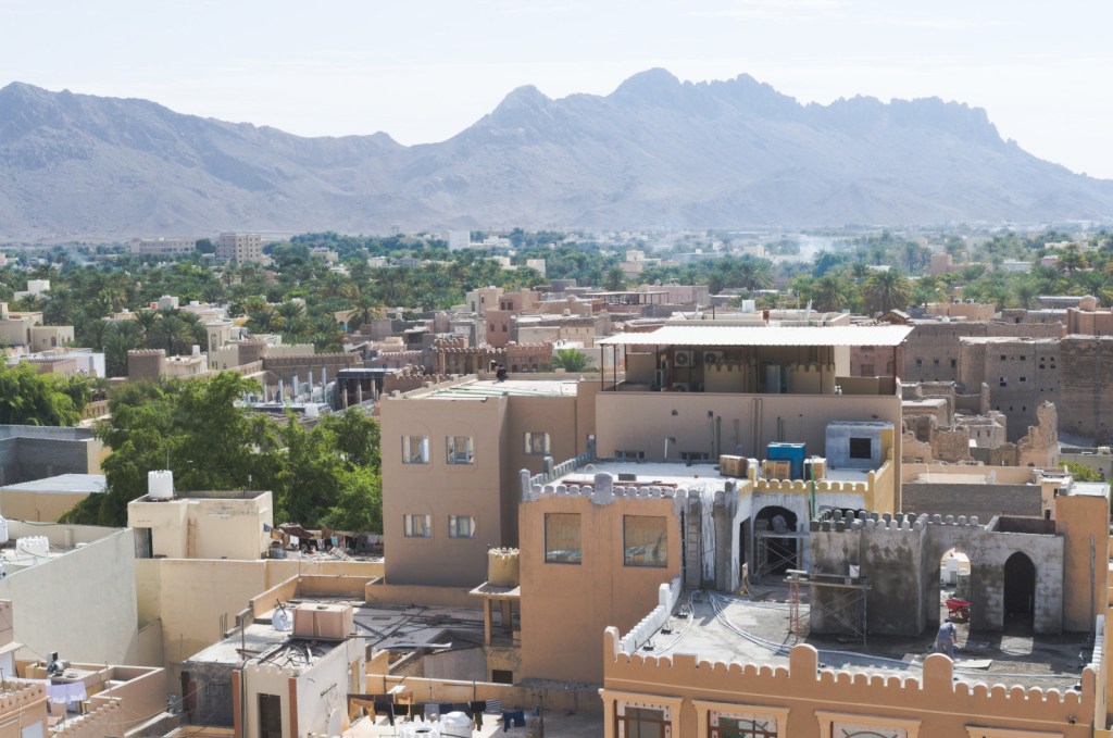 Дома, пальмы, вдалеке горы