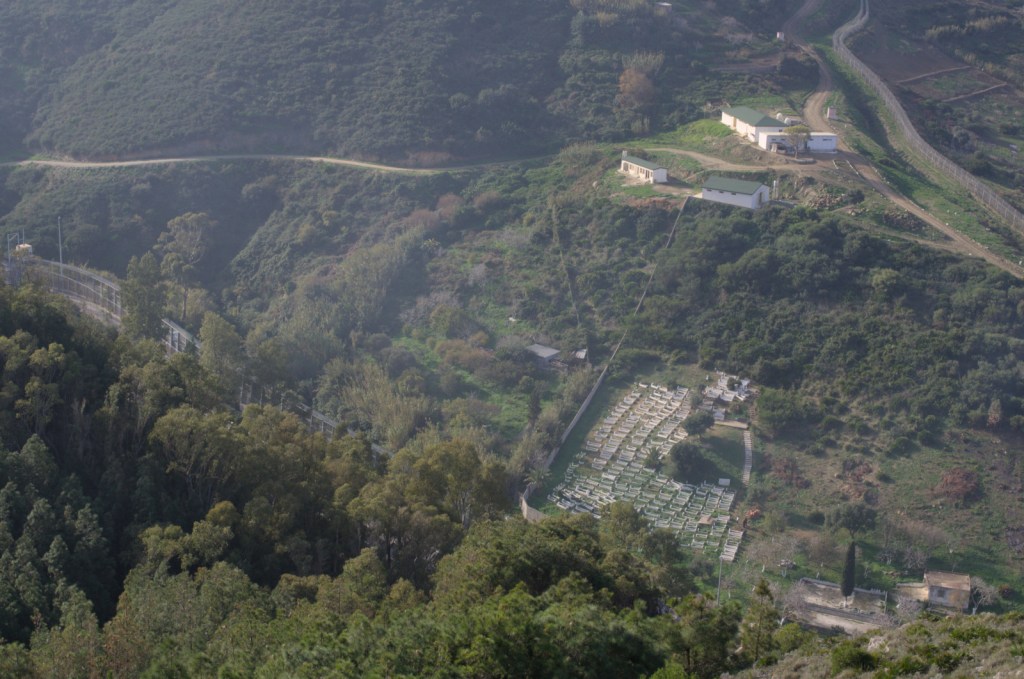 Ряды белых прямоугольных могил среди зелени и пограничных заграждений